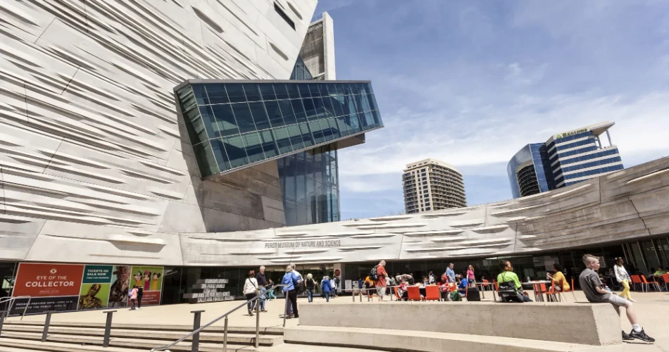 10 Best Museums in Dallas