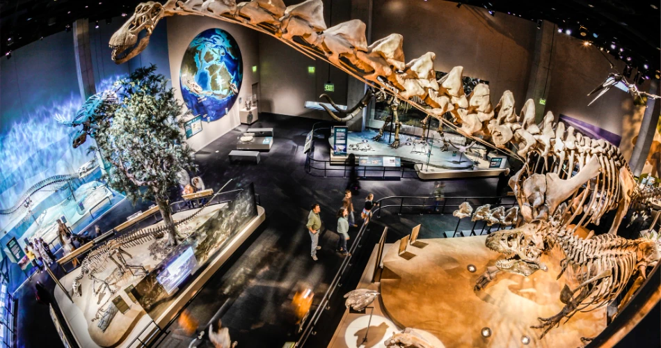 10 Best Museums in Dallas
