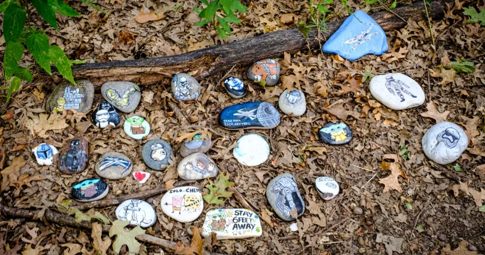 Dallas, Texas'ta Yapılacak 20 En İyi Şey