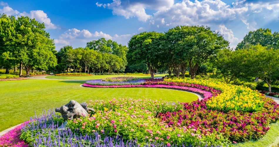 Dallas, Texas'ta Yapılacak 20 En İyi Şey