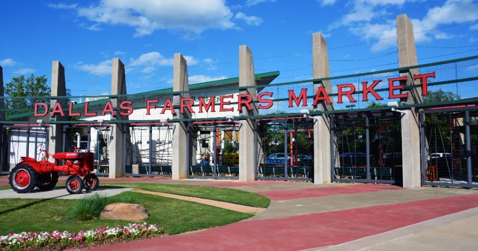 Dallas, Texas'ta Yapılacak 20 En İyi Şey