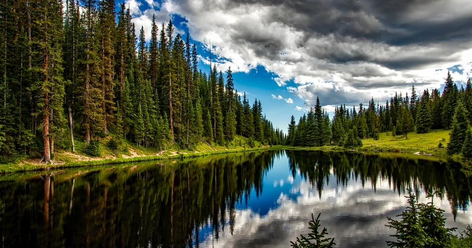 48 Hours in Dallas: Where to Eat, Stay & Explore 