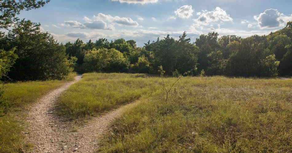 24 ساعة في دالاس – دليل السفر الشامل