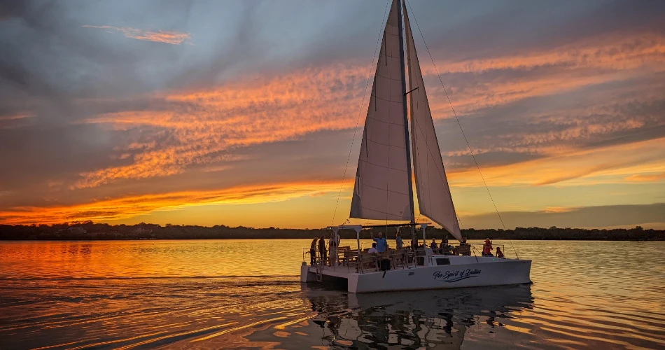 24 ساعة في دالاس – دليل السفر الشامل