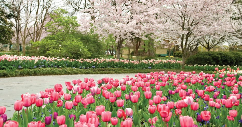 10 أشياء يمكن القيام بها في دالاس للأزواج